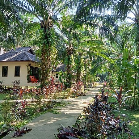 Khao Sok Palm Garden Resort Khao Sok National Park Kültér fotó