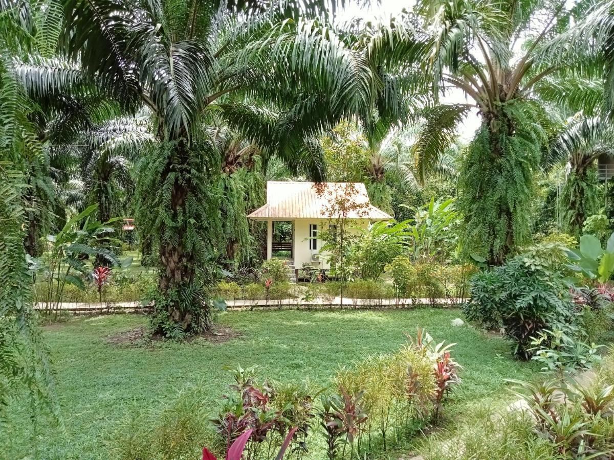 Khao Sok Palm Garden Resort Khao Sok National Park Kültér fotó