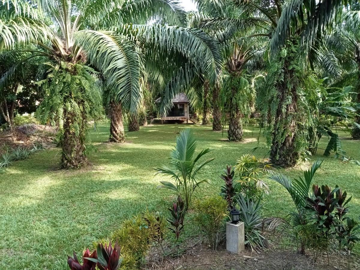 Khao Sok Palm Garden Resort Khao Sok National Park Kültér fotó