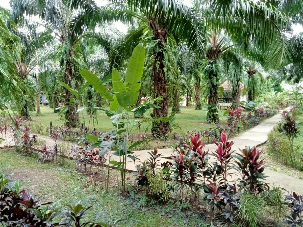 Khao Sok Palm Garden Resort Khao Sok National Park Kültér fotó