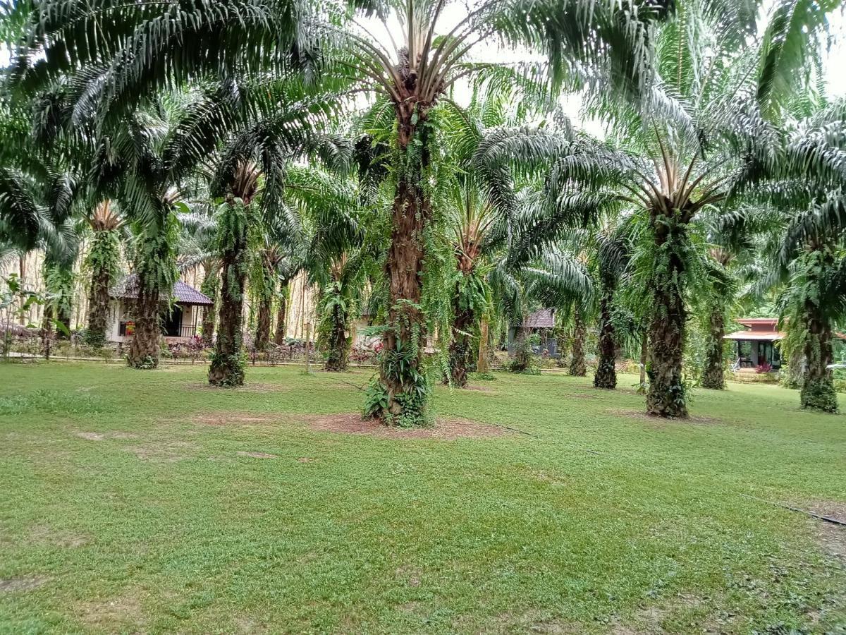 Khao Sok Palm Garden Resort Khao Sok National Park Kültér fotó