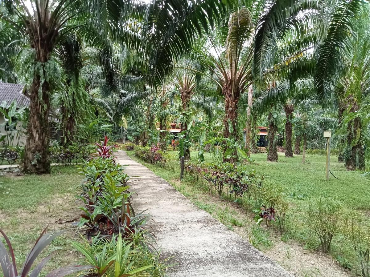 Khao Sok Palm Garden Resort Khao Sok National Park Kültér fotó