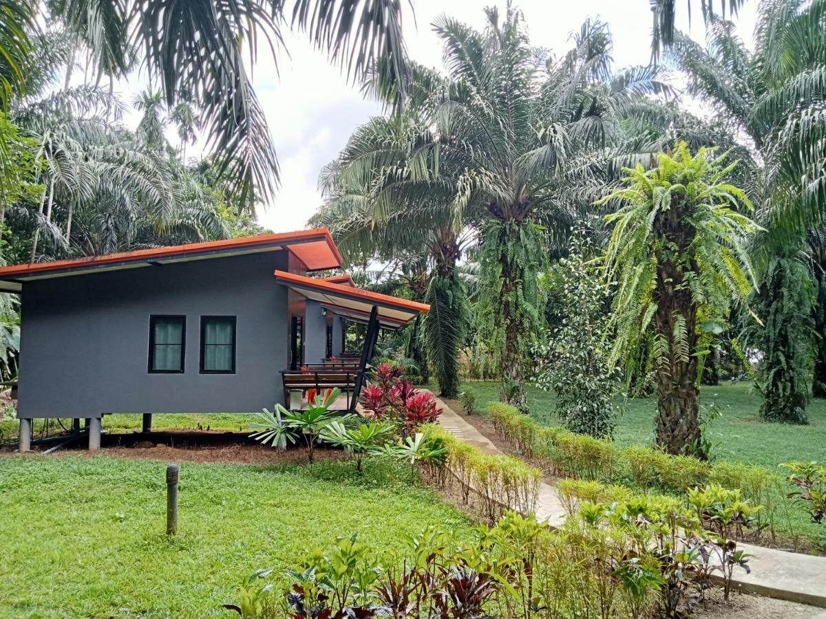 Khao Sok Palm Garden Resort Khao Sok National Park Kültér fotó