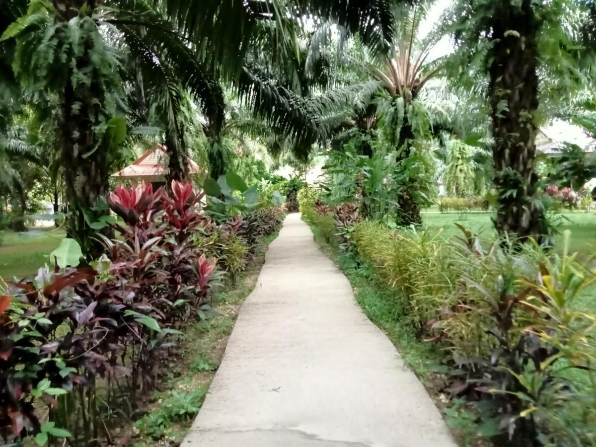 Khao Sok Palm Garden Resort Khao Sok National Park Kültér fotó