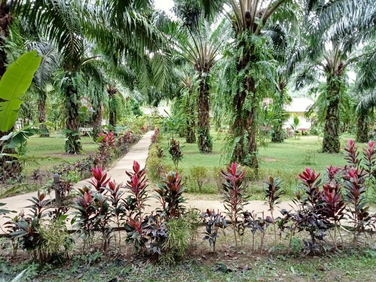 Khao Sok Palm Garden Resort Khao Sok National Park Kültér fotó