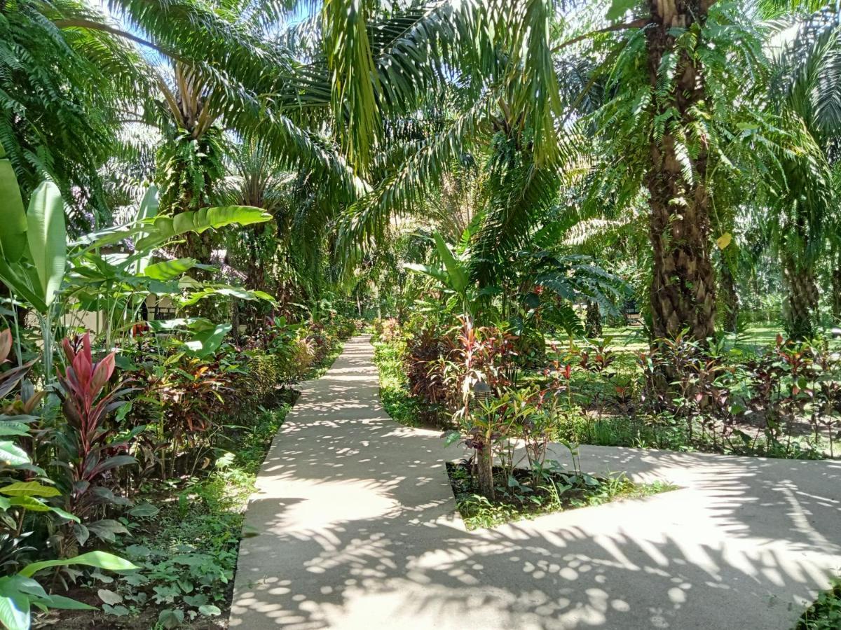 Khao Sok Palm Garden Resort Khao Sok National Park Kültér fotó