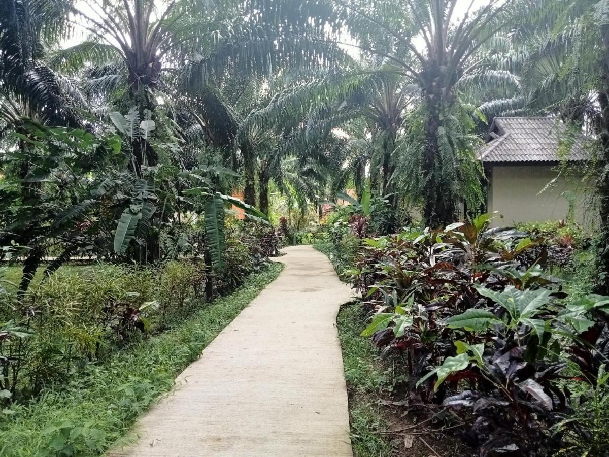 Khao Sok Palm Garden Resort Khao Sok National Park Kültér fotó