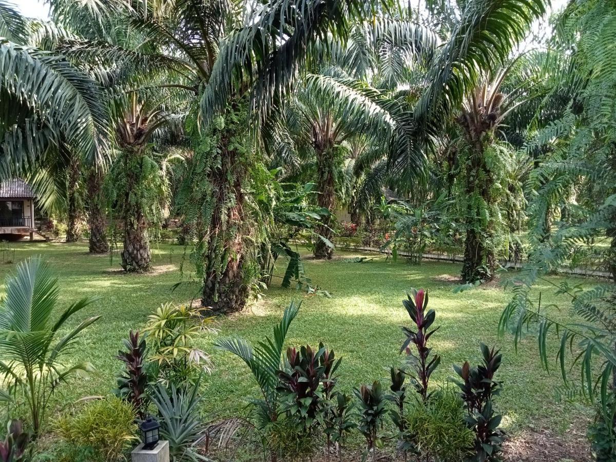 Khao Sok Palm Garden Resort Khao Sok National Park Kültér fotó