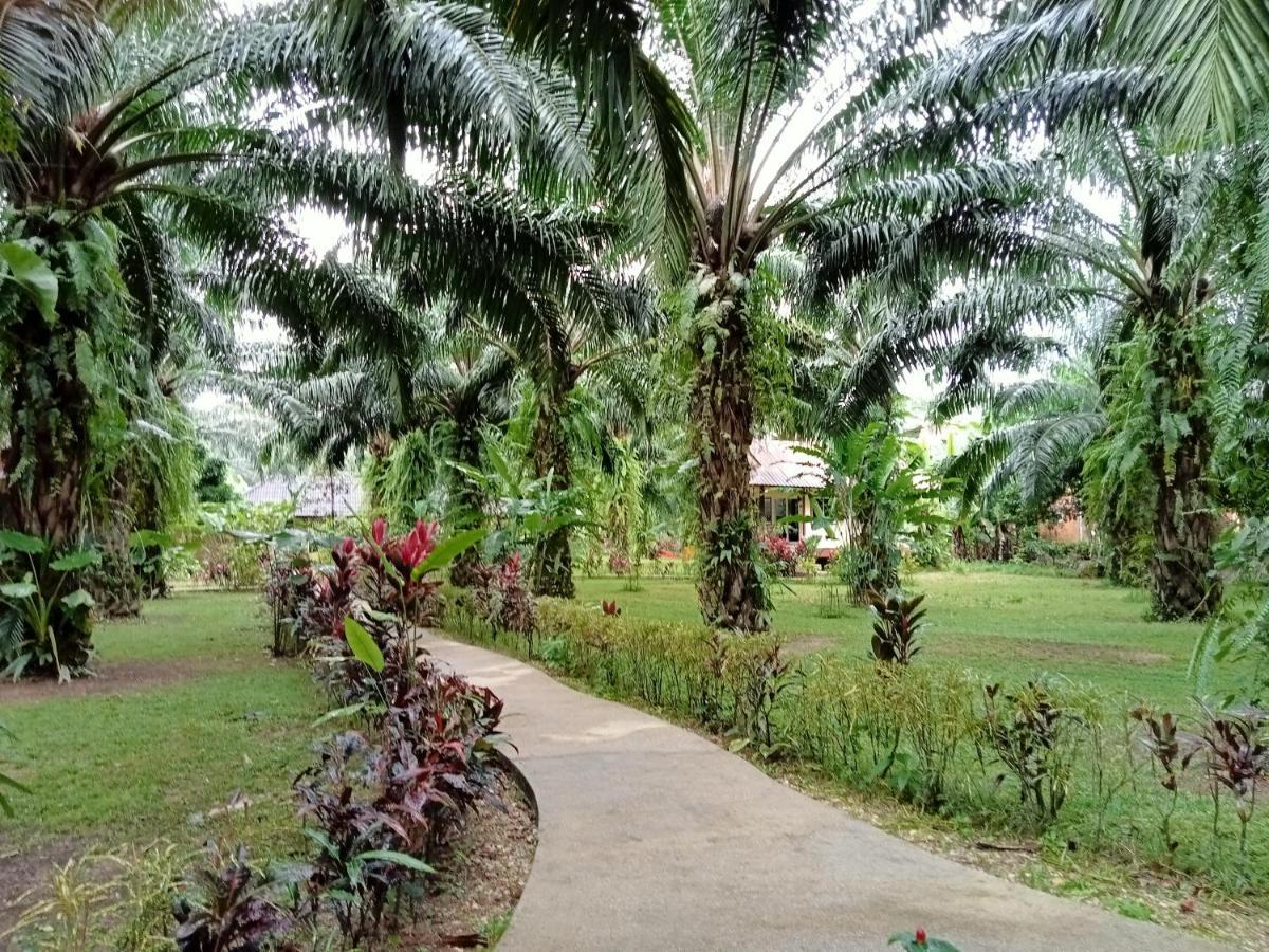 Khao Sok Palm Garden Resort Khao Sok National Park Kültér fotó