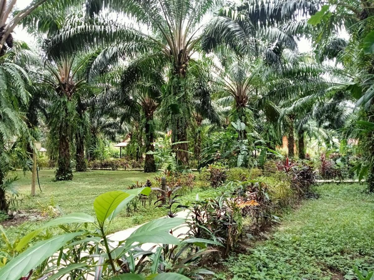 Khao Sok Palm Garden Resort Khao Sok National Park Kültér fotó